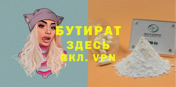 индика Абаза