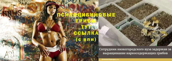 кристаллы Осинники