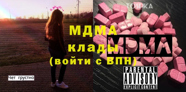 индика Абаза