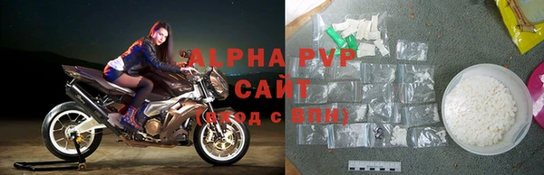 индика Абаза