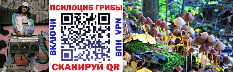 Псилоцибиновые грибы Psilocybe omg онион Ардатов